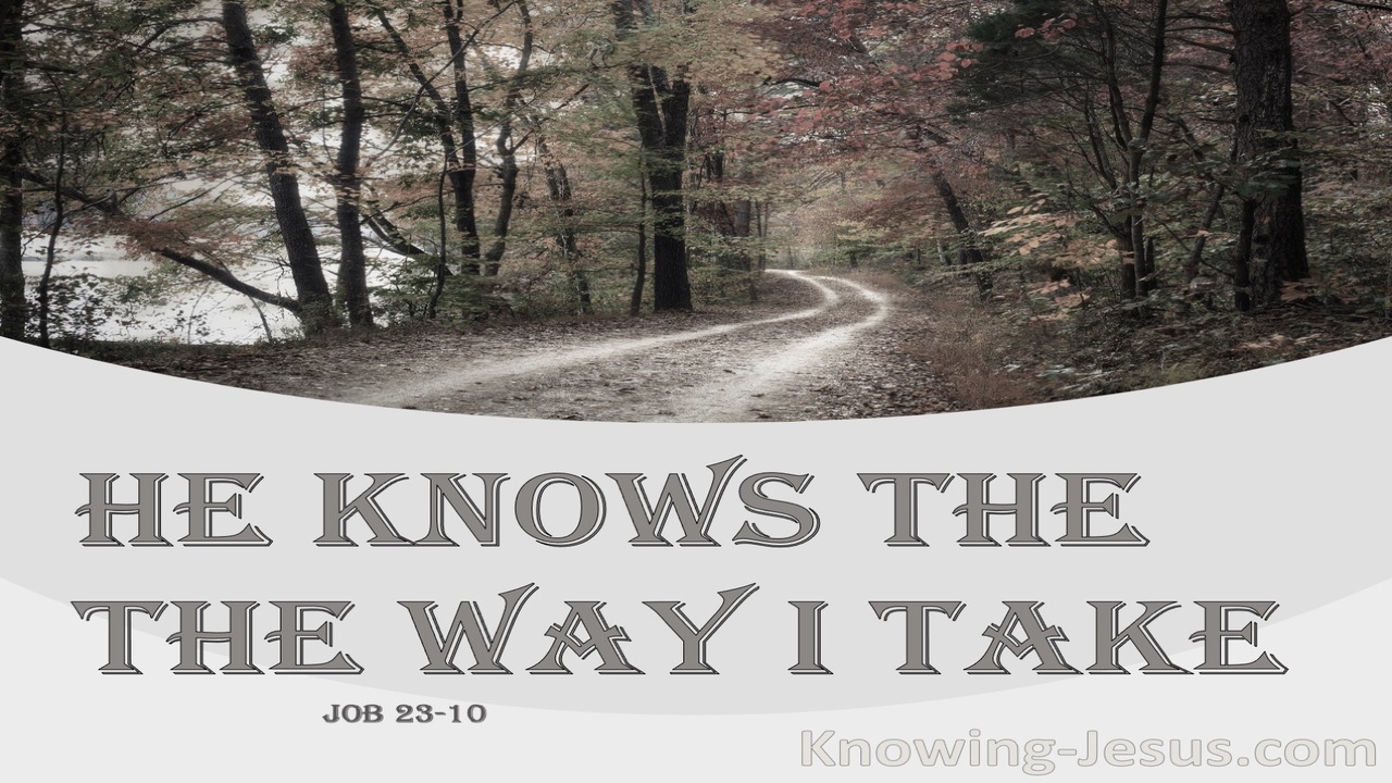 Job 23:10 He Knows The Way I Take (brown)